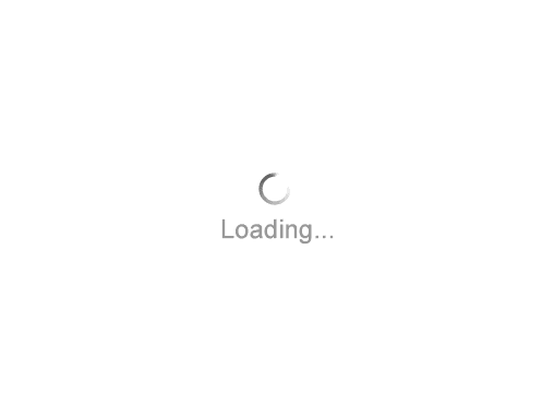 loading12.gif